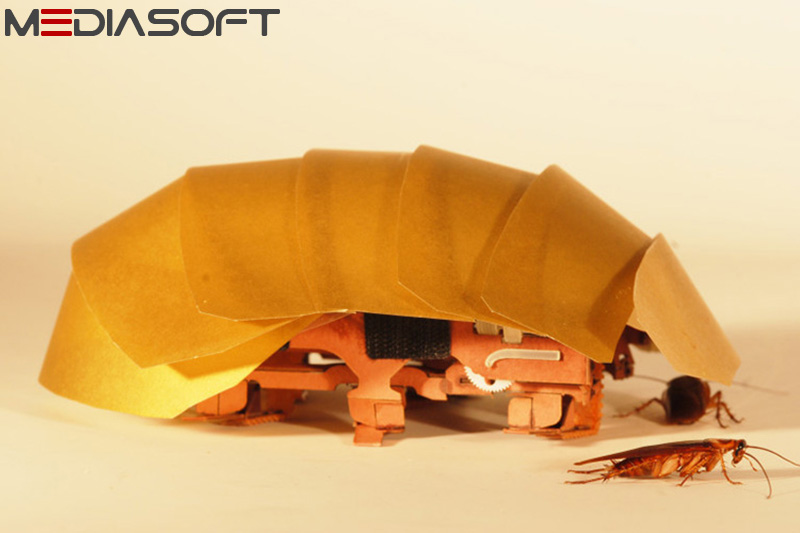 مدیاسافت - الهام گرفتن از سوسک در ساخت ربات جان سخت CRAM