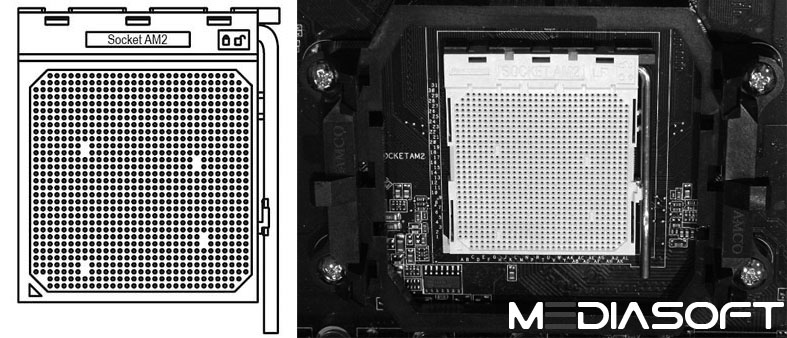 مدیاسافت - سوکت AMD