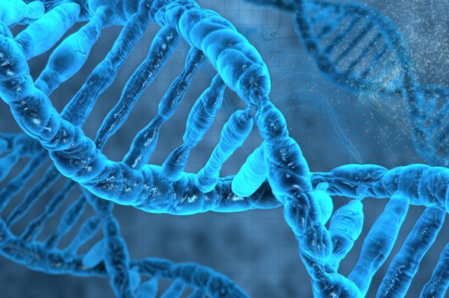 مدیاسافت - رتروویروس باستانی در DNA انسان
